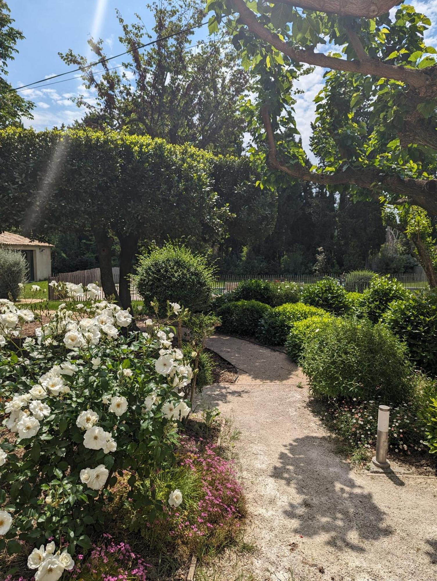 Mas De La Gramillere Hotel Barbentane Kültér fotó